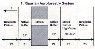Riparian agroforestry system