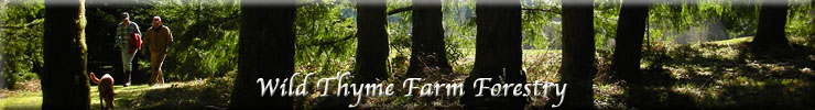Wild Thyme Farm Forestry
